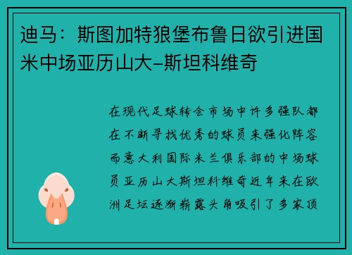 迪马：斯图加特狼堡布鲁日欲引进国米中场亚历山大-斯坦科维奇
