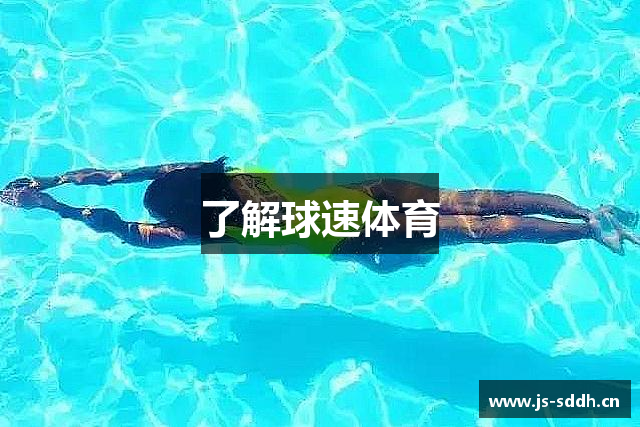 了解球速体育